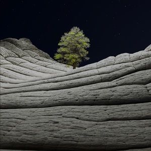 Meet your Posher, Ian